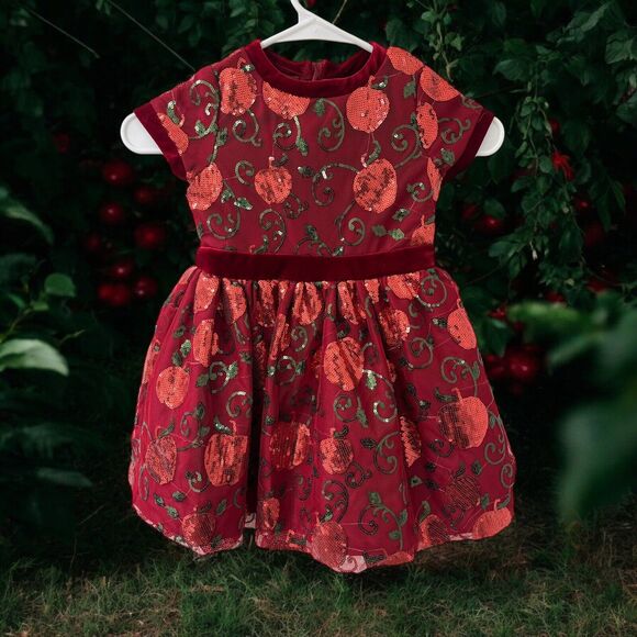 Disney Princess Snow White Red Apple Sequined Party Costume Dress SIZE 3 Holiday